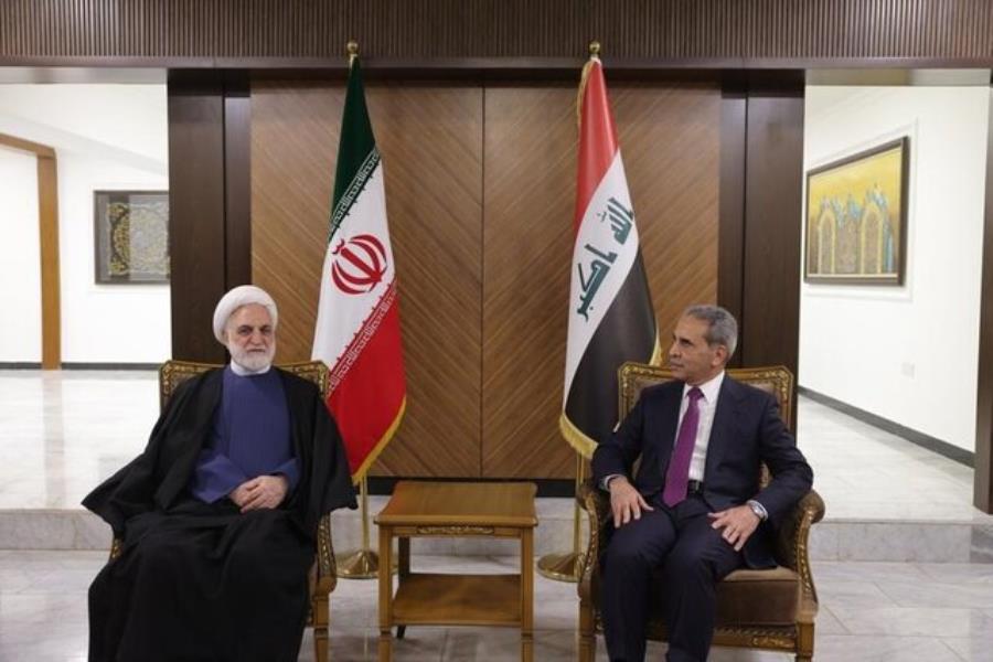 تاکید محسنی اژه‌ای بر حل مشکلات بازرگانان ایران و عراق